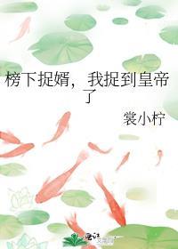 榜下捉婿25章