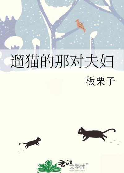 遛猫的好处和坏处