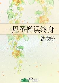 一见圣僧误终身作者洗衣粉