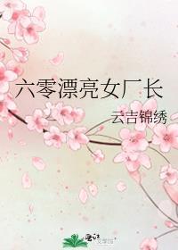 六零年代女厂长作者云吉锦绣