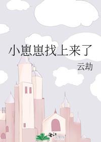 小崽子txt