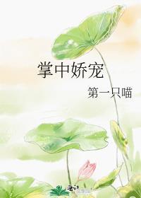 掌中娇宠第一只喵免费阅读