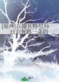 原神提瓦特是什么