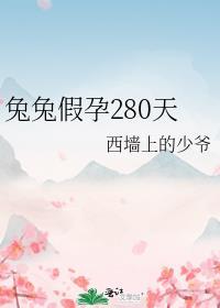 宠物兔假孕
