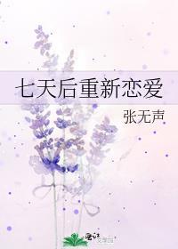 七天恋爱