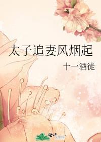 太子追夫记