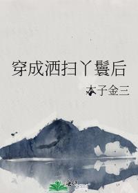 穿成洒扫丫鬟后作者木子金三