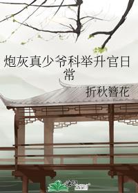 炮灰真少爷科举升官日常百度