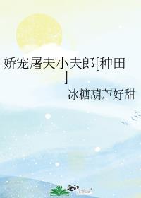 娇夫免费阅读全文