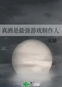 真酒是最强游戏制作人盘