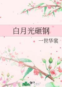白月光这首