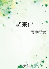 老来伴的真正含义