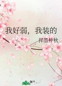 我装的末世