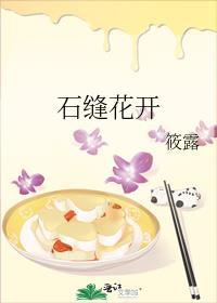 石缝里的花朵