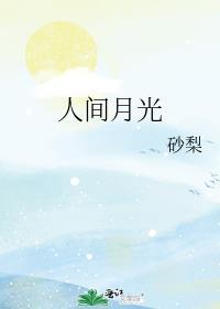 人间月光什么意思