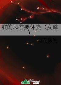 朕的将军是凤君(女尊)