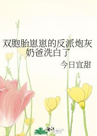 双胞胎崽崽的反派炮灰奶爸洗白了全文免费阅读
