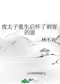 废太子重生后怀了刺客的崽讲的什么