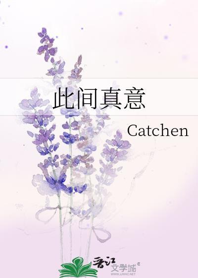 真意的理解