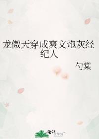龙傲天穿成爽文炮灰经纪人笔