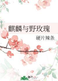 麒麟与野玫瑰去哪里看
