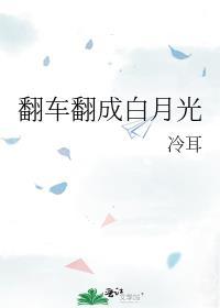 翻车翻成白月光笔趣阁