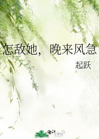 晚来风急txt