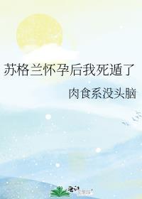 苏格兰人