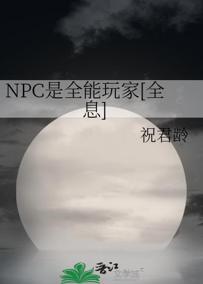 npc 玩家
