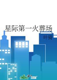 星际第一火葬场txt