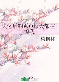 失忆后我每天都在掉马甲免费阅读