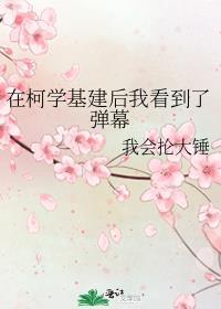 在柯学基建后我看到了弹幕 我会抡大锤