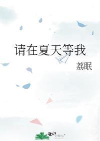 我在夏天等你歌词