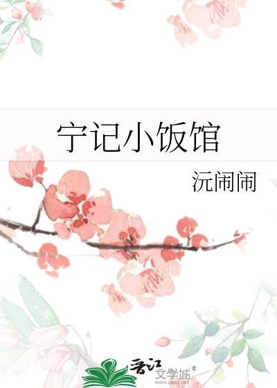 宁记小饭馆TXT百度资源方法