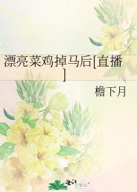 漂亮的菜