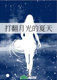 打翻月光的夏天百度
