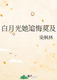 白月光她追悔莫及晋江文学城