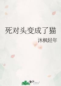 死对头变成了猫gI沐枫轻年