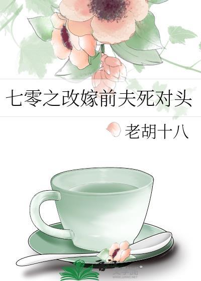 七零之二婚