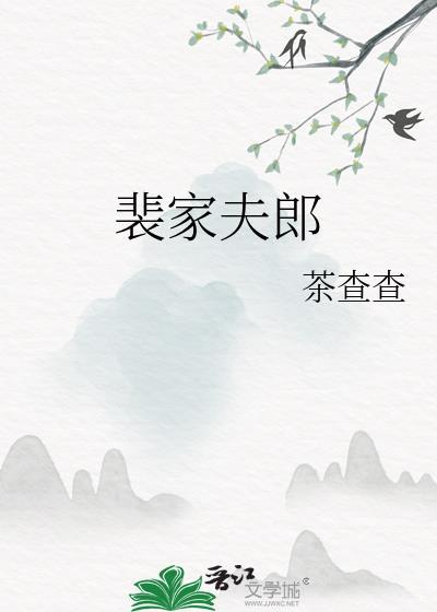 裴家夫郎txt