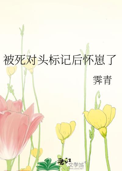 被死对头标记了怀崽了