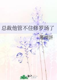 总裁又管不住夫人了