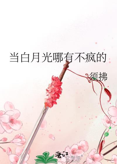 我靠马甲组织直播敛财百亿观影整理