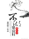 重生不做贤良妇txt