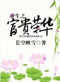 重生之富贵荣华长空映雪