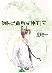 伪装燃命后成神了无限