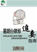 葛朗台律师追妻免费