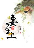 妻至上全文免费阅读