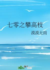 重生七零攀高枝