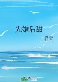 先婚后甜 袖刀TXT